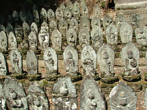 20070406_474